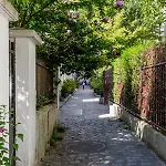 Veeve - Cosy Gambetta *